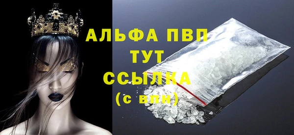 СК Бронницы
