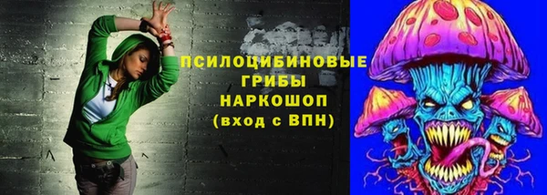 молекула духа Бугульма