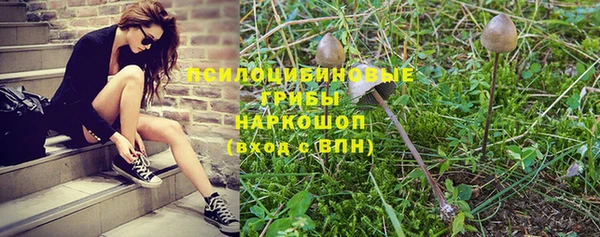 мет Бородино