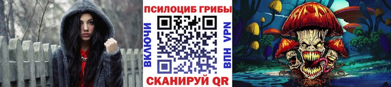 Псилоцибиновые грибы Cubensis  Губкинский 